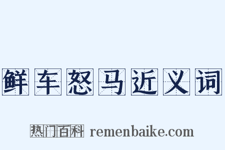 鲜车怒马近义词是什么意思的图片